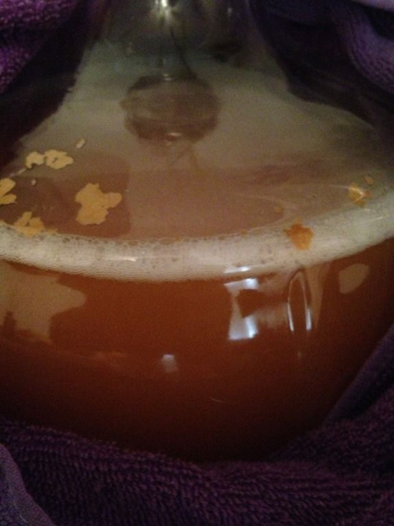 What is film yeast? Homebrew Talk Beer, Wine, Mead, & Cider Brewing
